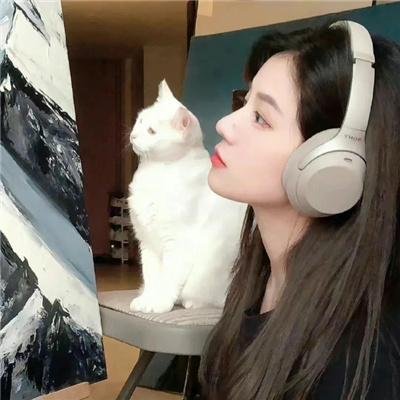 篮子里的恶魔